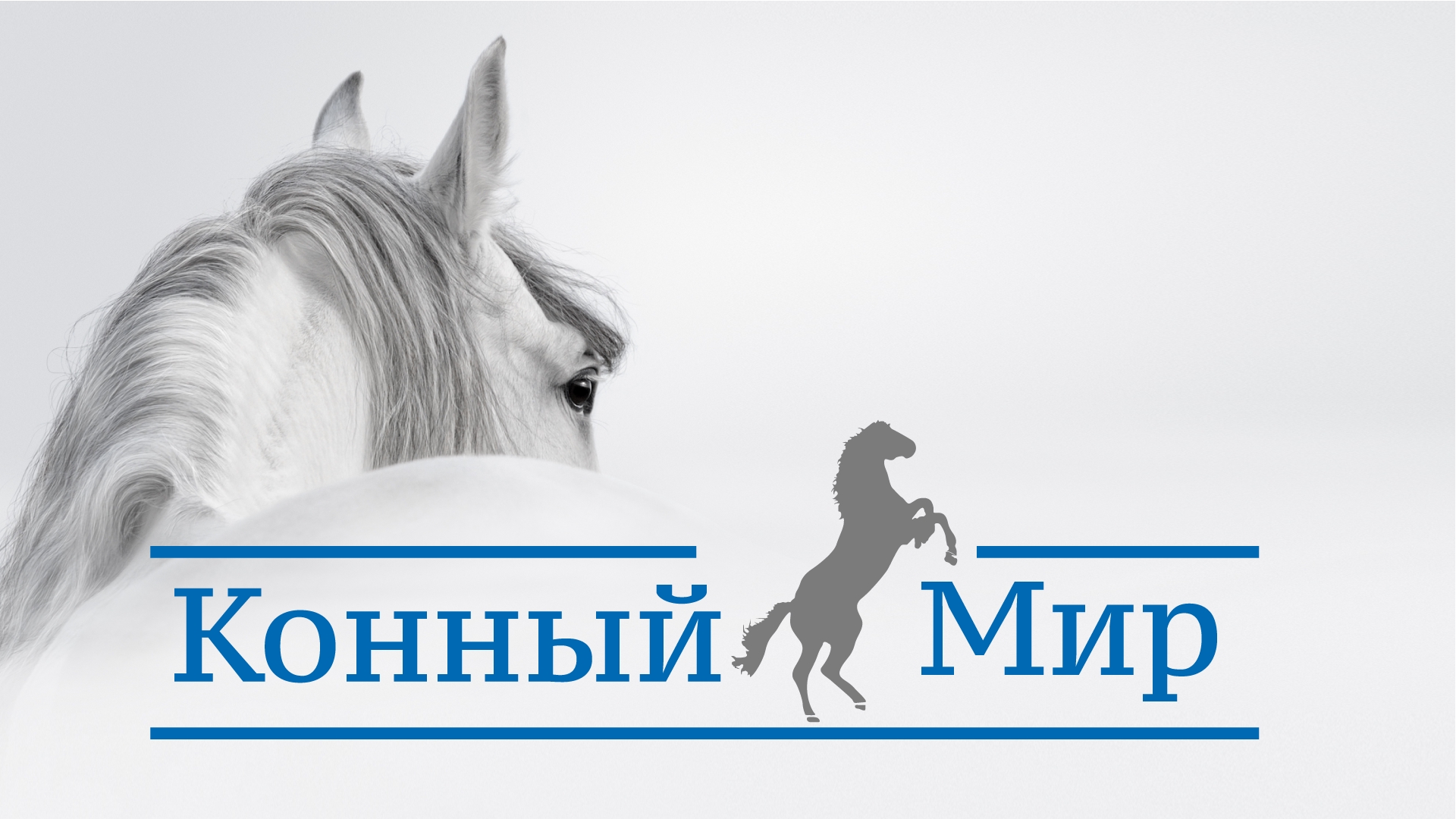 Лошадь центурион